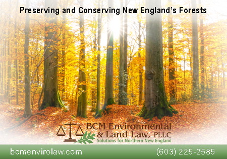 Preserving and Conserving New England's Forests BCM Environmental and Land Law PLLC